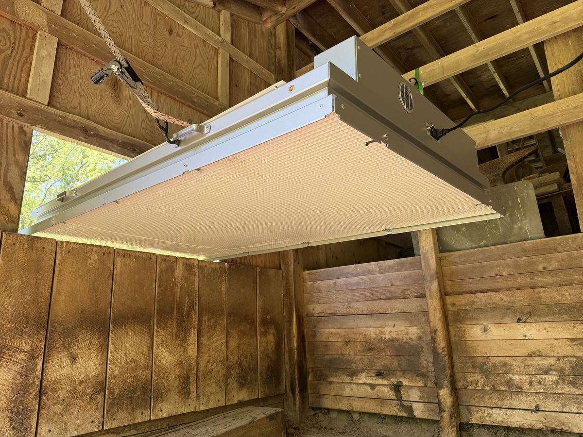 Clearly Cool radiant panel installed in barn
