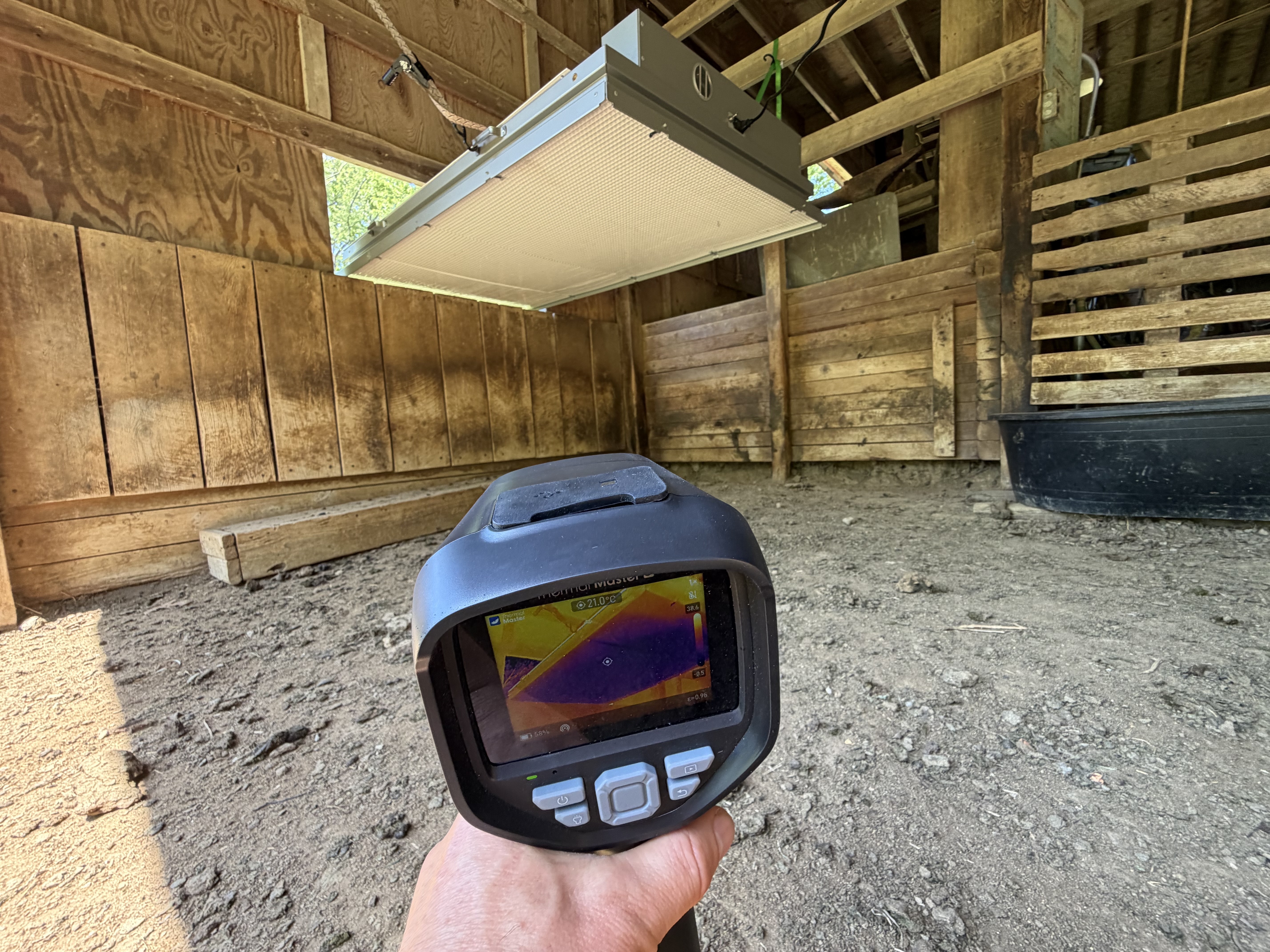 Piglets gathered under a Clearly Cool radiant cooling panel